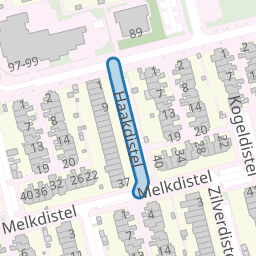 Haakdistel