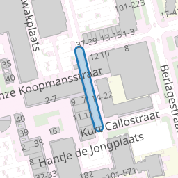 Hantje de Jongstraat
