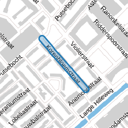 Korenbloemstraat