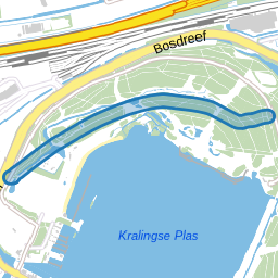 Naaldbomenpad