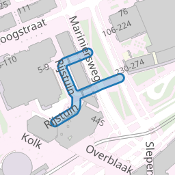 Rijstuin