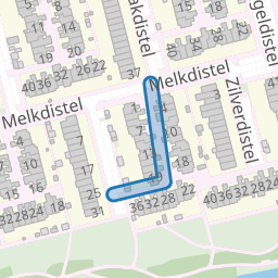 Zeedistel