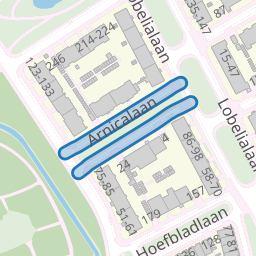 Arnicalaan