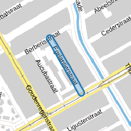 Egelantierstraat
