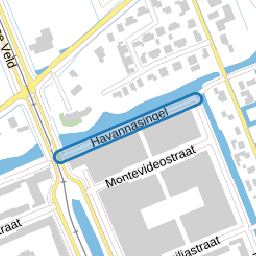 Havannasingel