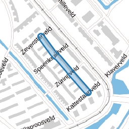 Korenbloemveld