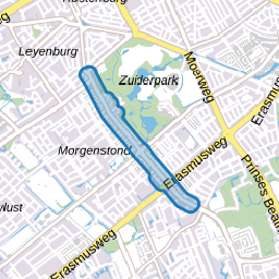 Loevesteinlaan
