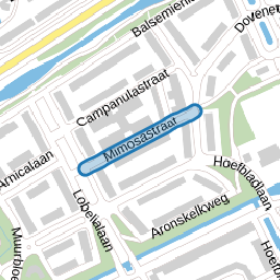Mimosastraat