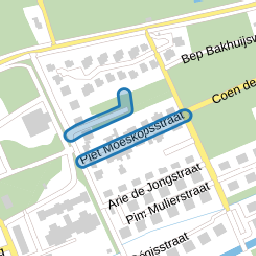 Piet Moeskopsstraat