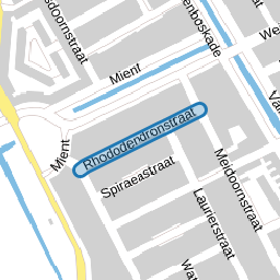 Rhododendronstraat