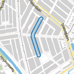 Van Slingelandtstraat