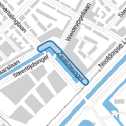 Zwaluwsingel