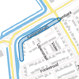 Kastanjebruin