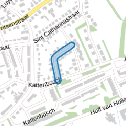 Koepelstraat