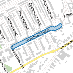 Orchideeënstraat