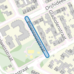 Pioenroosstraat