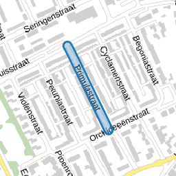 Primulastraat