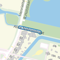 Alice Nahonstraat