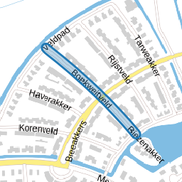 Boekweitveld
