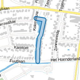 Goudplevier