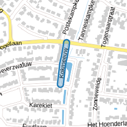 Kokmeeuw