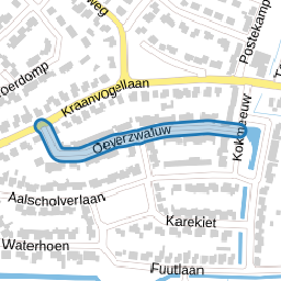 Oeverzwaluw