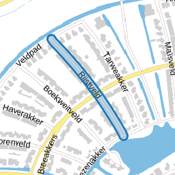 Rijstveld