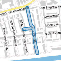 van Reysstraat