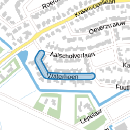Waterhoen