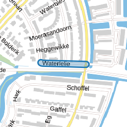 Waterlelie