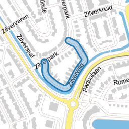Zilverwilg