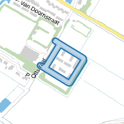 Zwanenbloem