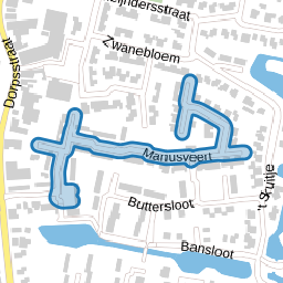 Manusveert