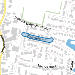 Zwanebloem