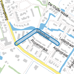 Tulpstraat