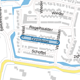 Dorsvlegel