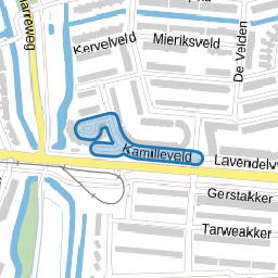 Kamilleveld