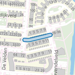 Korianderveld