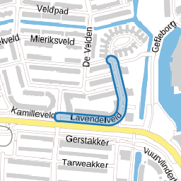 Lavendelveld