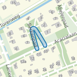 Berkenpad