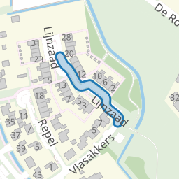 Lijnzaad