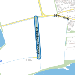 Schellewitseweg