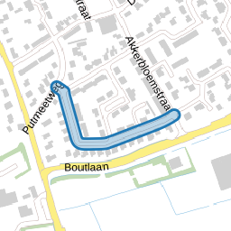 Korenbloemstraat