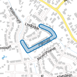 Pijlkruid