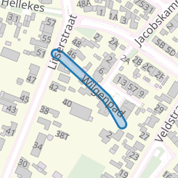Wilgenpad