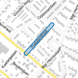 Populierstraat