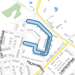van Loonstraat