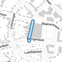 Anjelierstraat