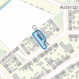 Cliviastraat