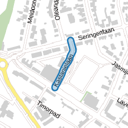 Kastanjelaan